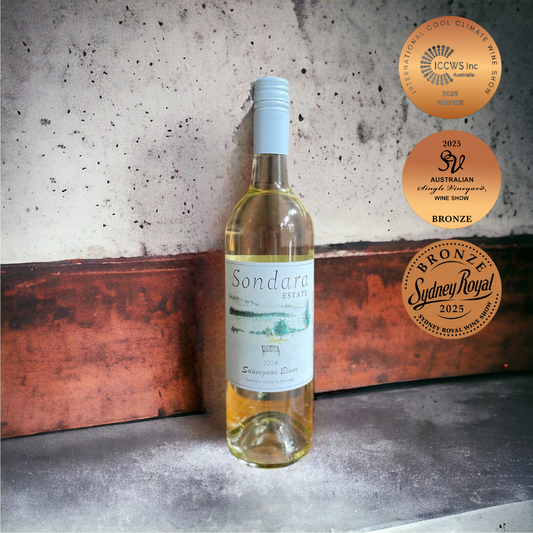 Sauvignon Blanc Sondara 2024